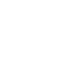 white rdv logo